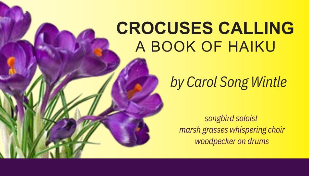 Crocuses Calling: A book of haiku by Carol Song Wintle. songbird soloist, marsh grasses whispering choir, woodpecker on drums